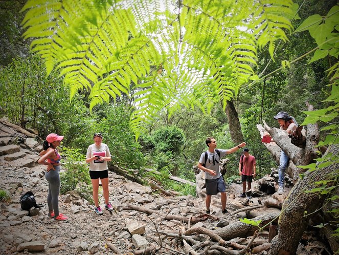 Good Hope Studies - groups trekking